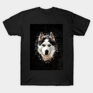 Siberian Husky T-Shirt